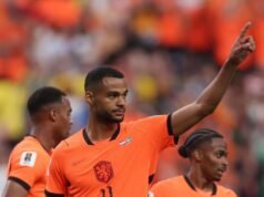 Rampant Netherlands Sweep Aside Sweden